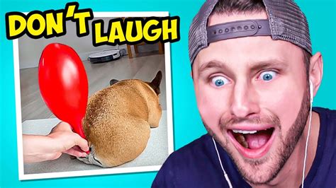 funniest youtube videos|most funniest videos ever seen.